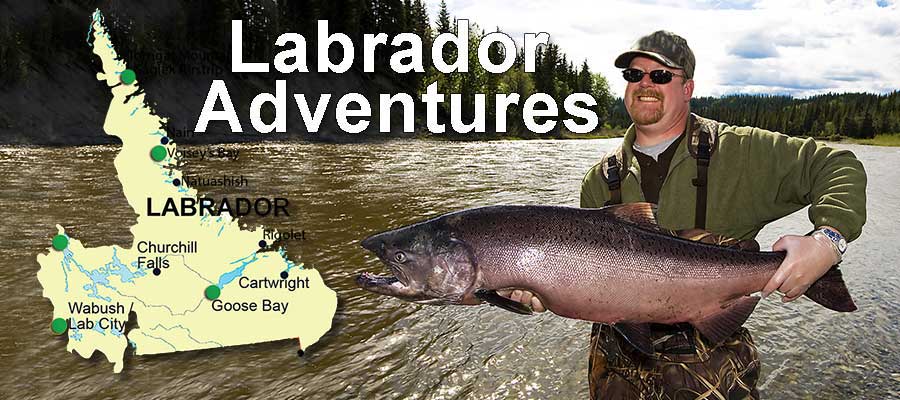Labrador Adventures